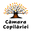 Logo de Camara Copilariei