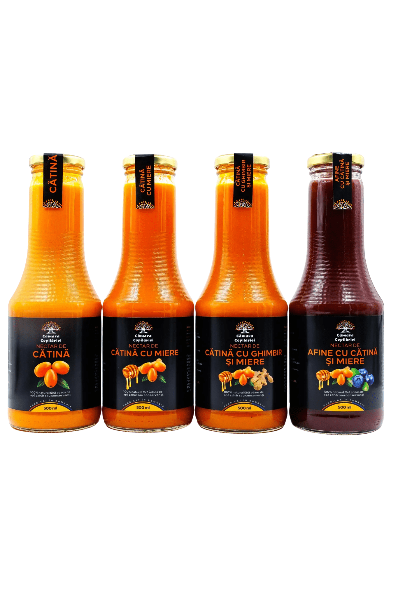 Pachet 4 Arome - 4 x 500ml - Camara Copilariei