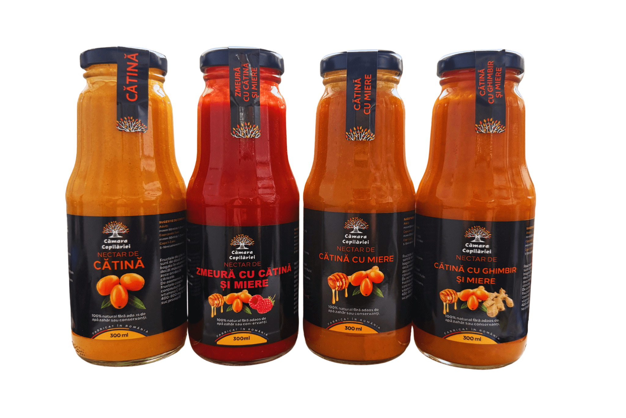 Pachet 4 Arome mini - 4 x 300ml - Camara Copilariei