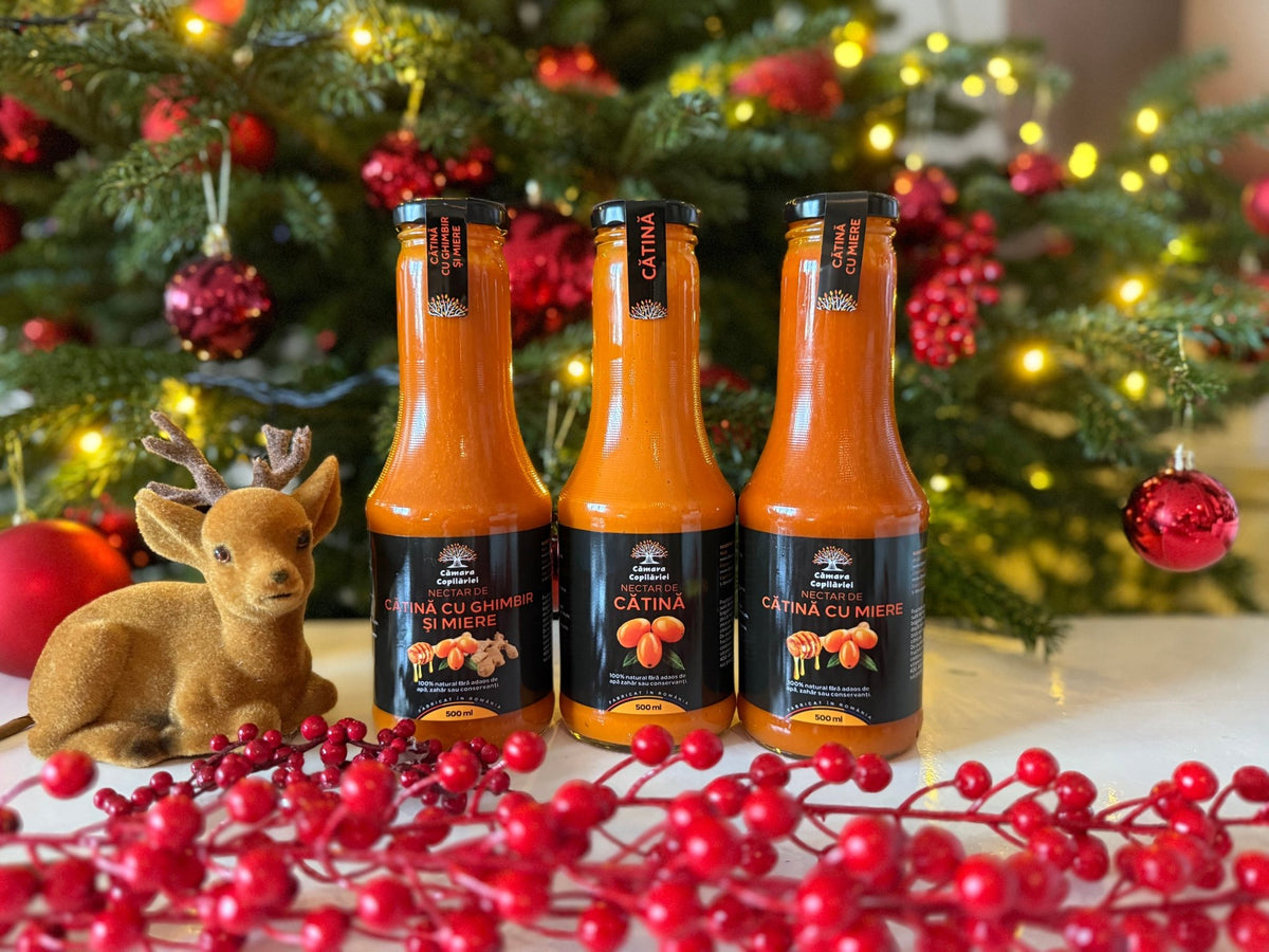 Pachet Cătina - 3 x 500ml - Camara Copilariei